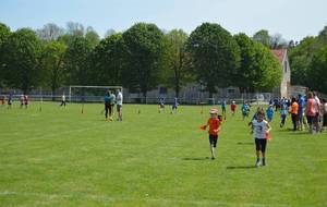 5763bbecedce4_DSC0111.JPG