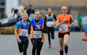 5c7d0e486c620_IMG1777.JPG